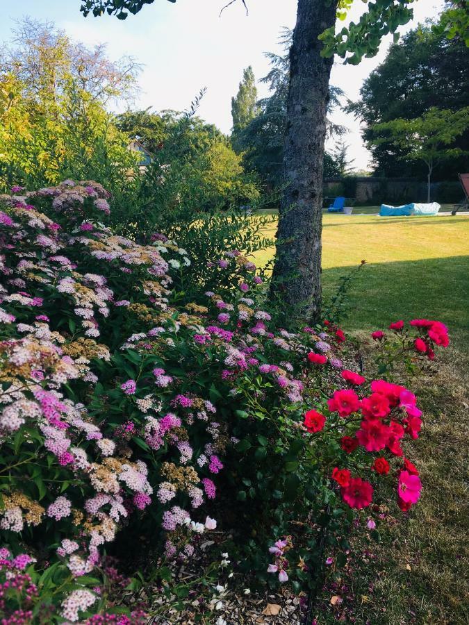 Les Couleurs Du Verger Beaumont-les-Autels ภายนอก รูปภาพ